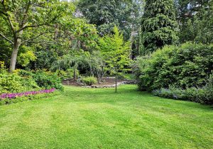 Optimiser l'expérience du jardin à Montchamp